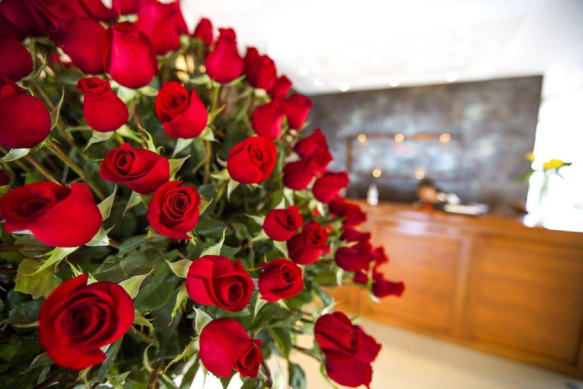 Hotel Ambato Ngoại thất bức ảnh